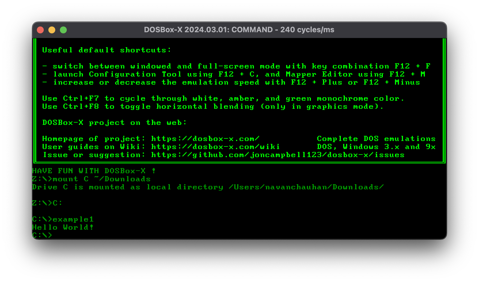 Running our program in DOSBox-X